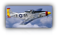 T-51 Plane